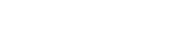 Saray Turizm